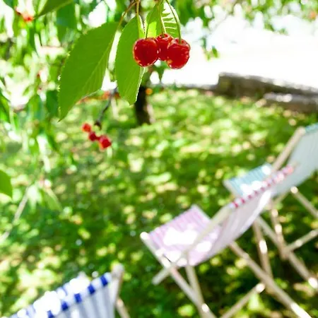 Hiska Pod Krasom * Rence