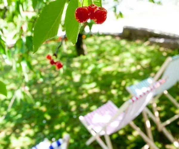 Hiska Pod Krasom * Rence